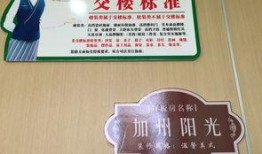 惠阳秋长最新爆料,揭秘神秘项目背后的真相